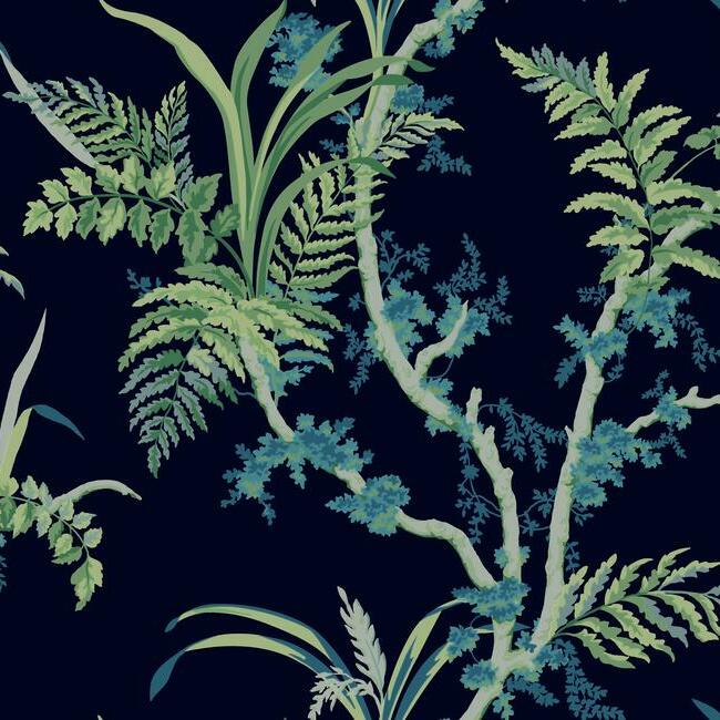 Enchanted Fern