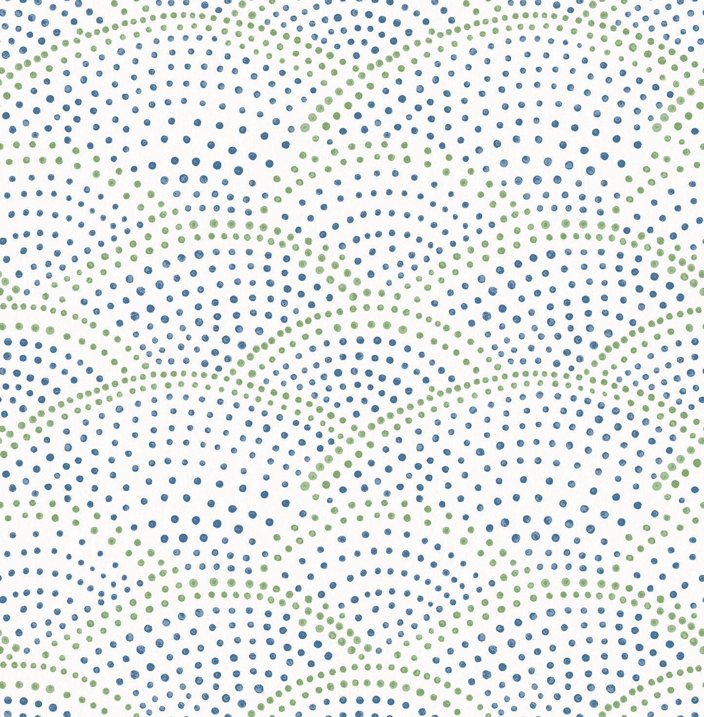 Dotted Scallop