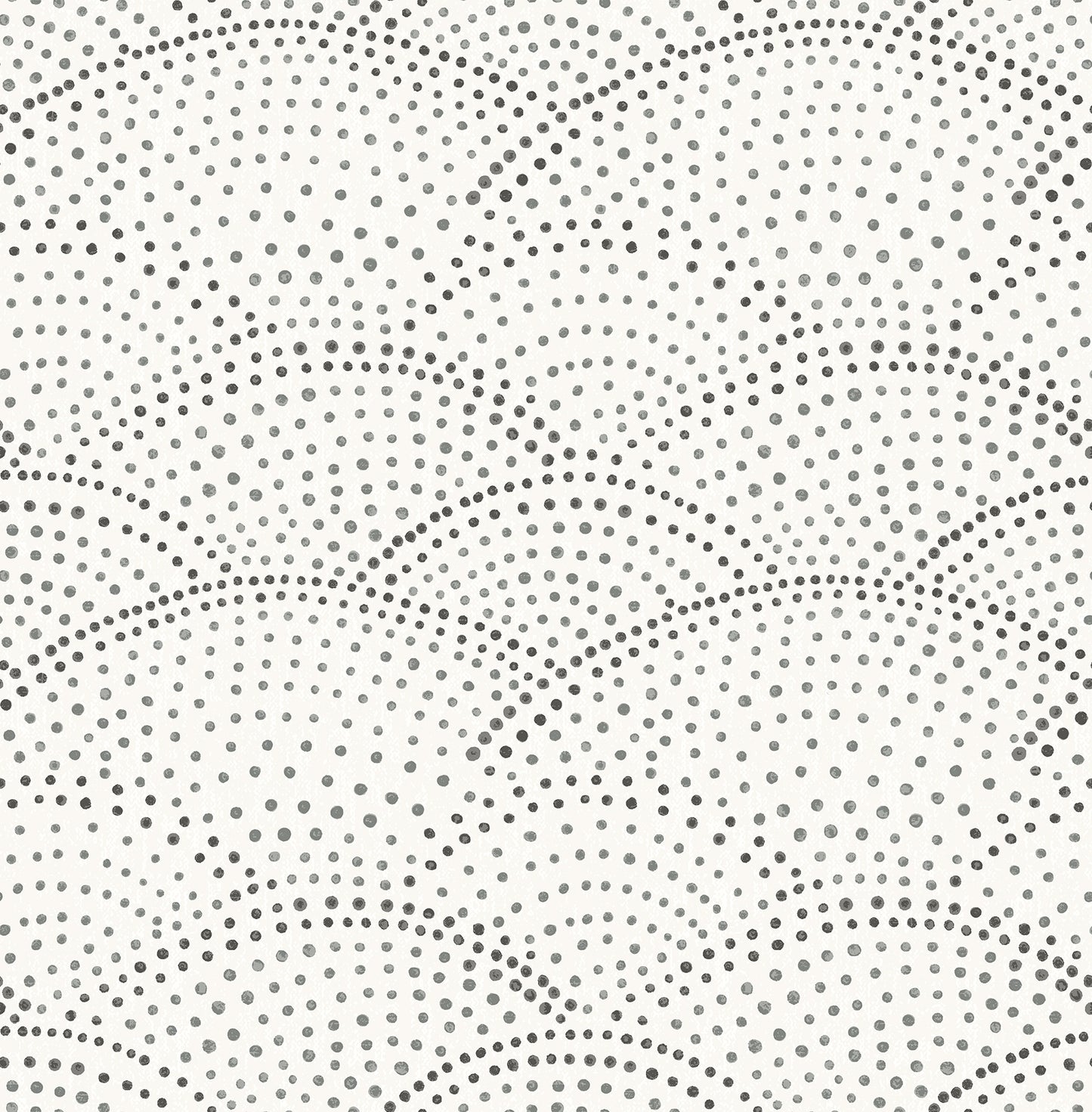 Dotted Scallop