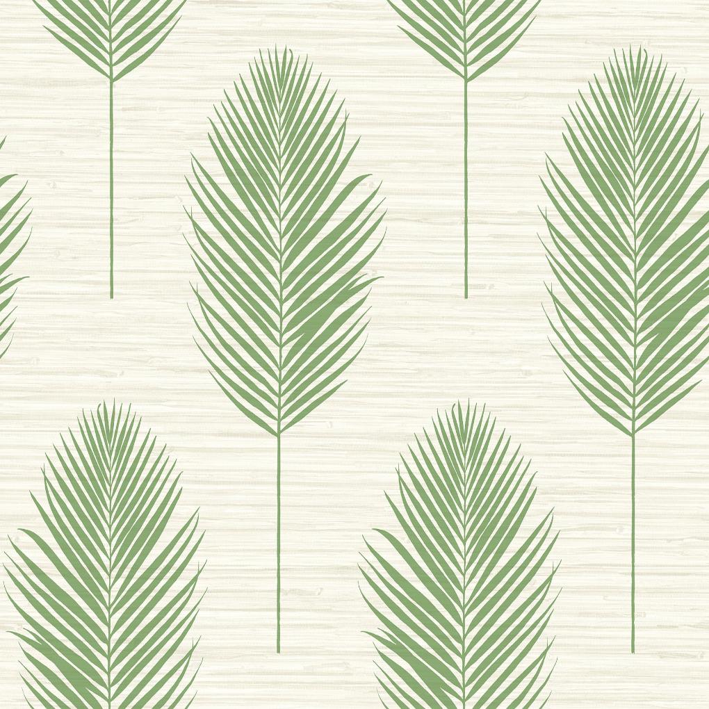 Bali Fern