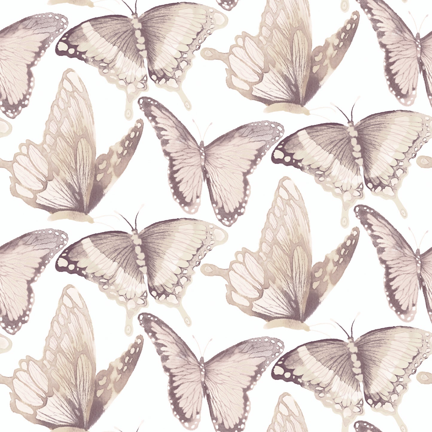 Janetta Butterfly