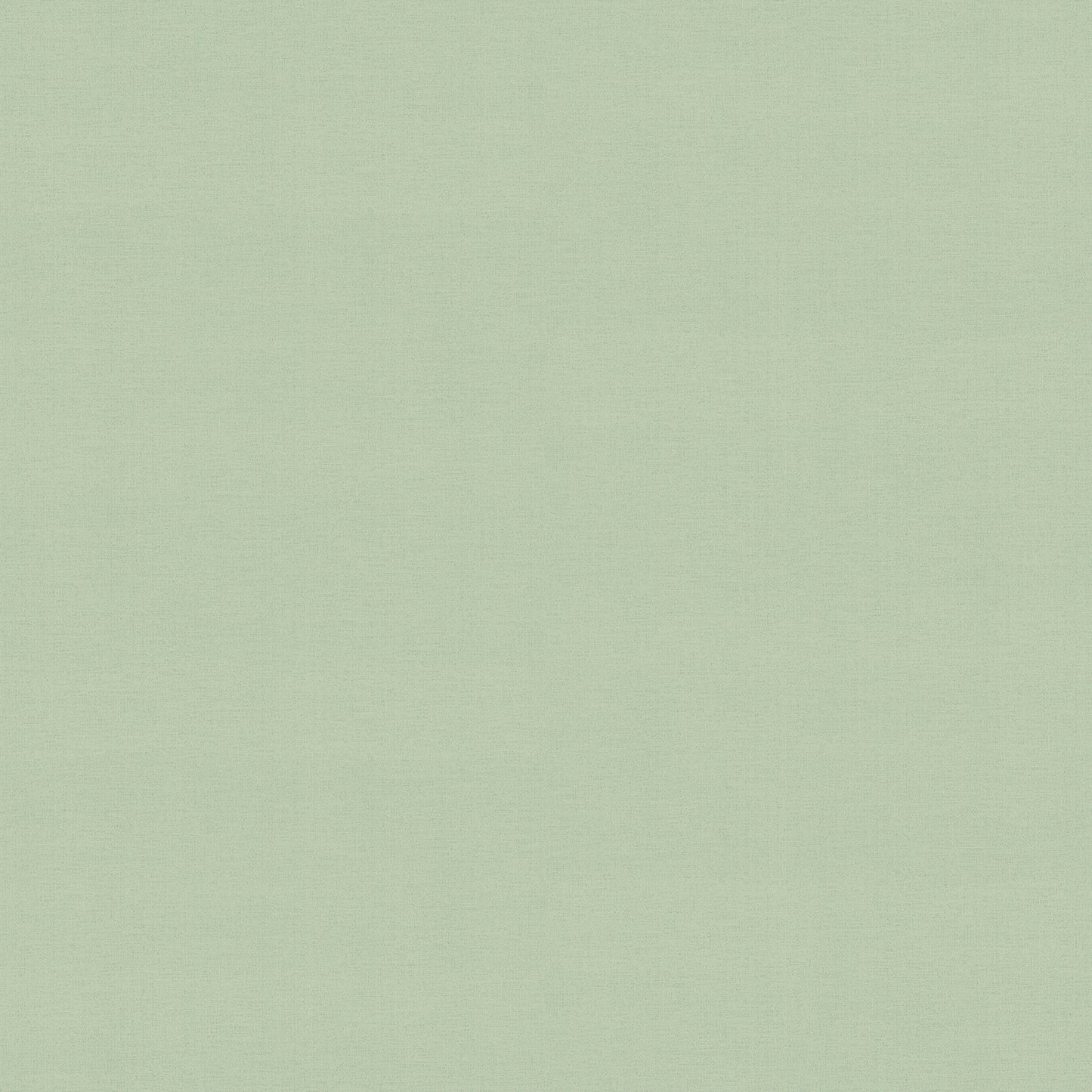 Estefan Texture