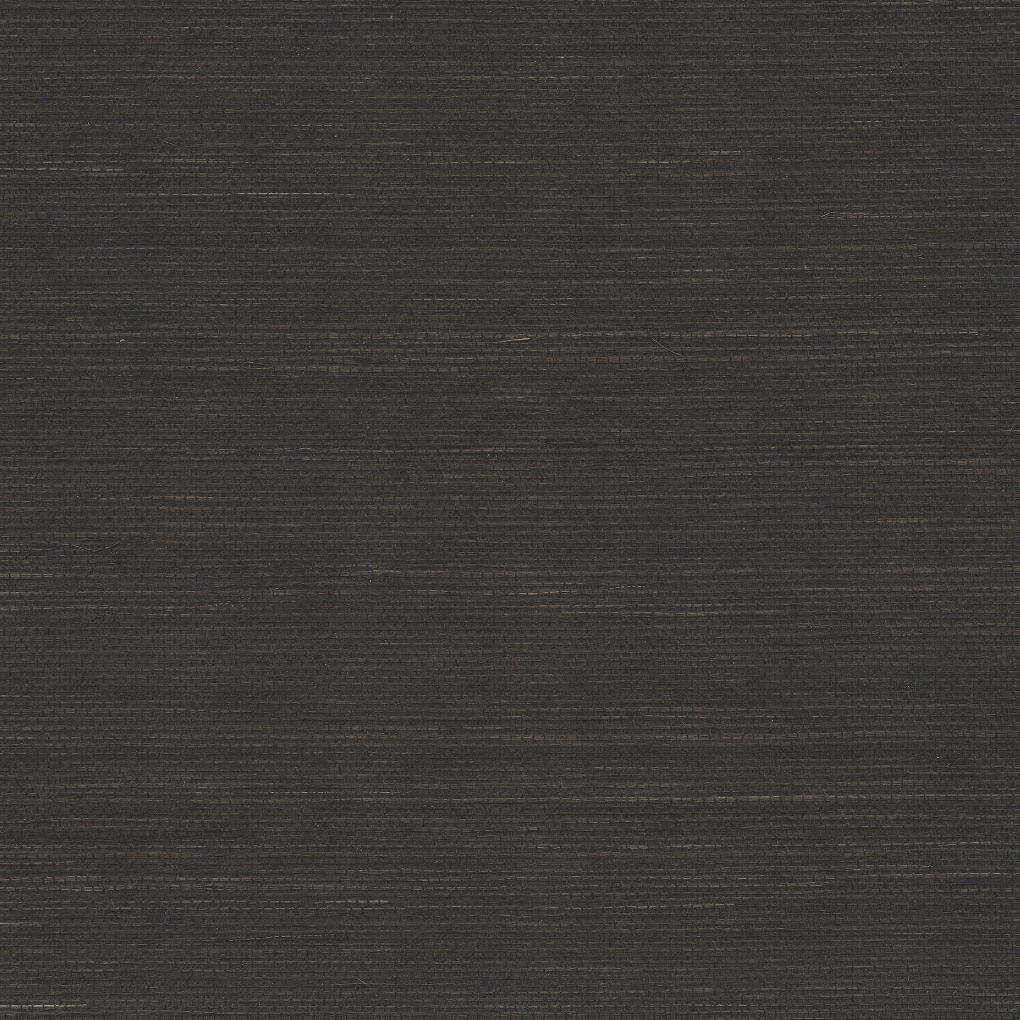 Maguey Sisal - Blacks