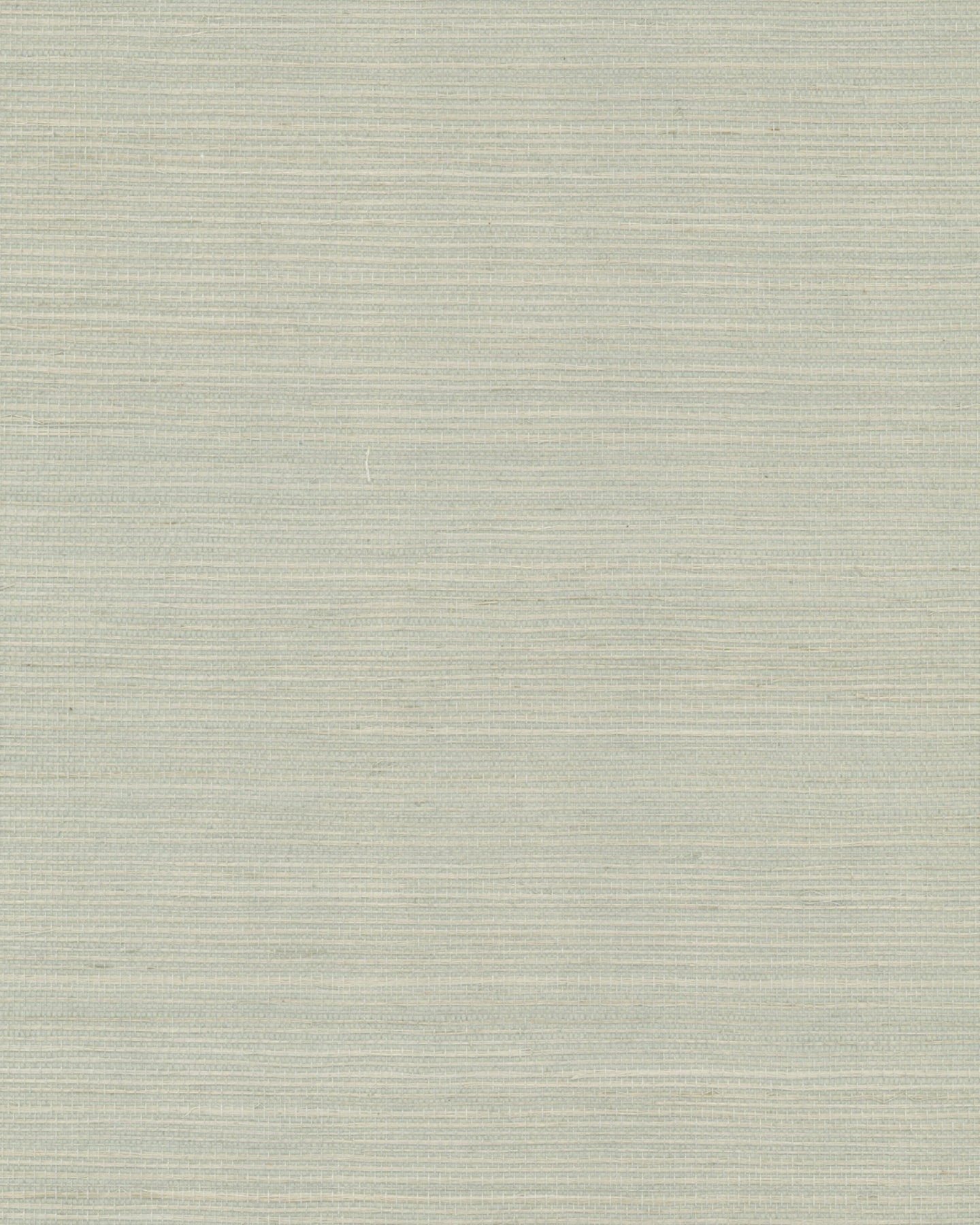 Maguey Sisal - Greens