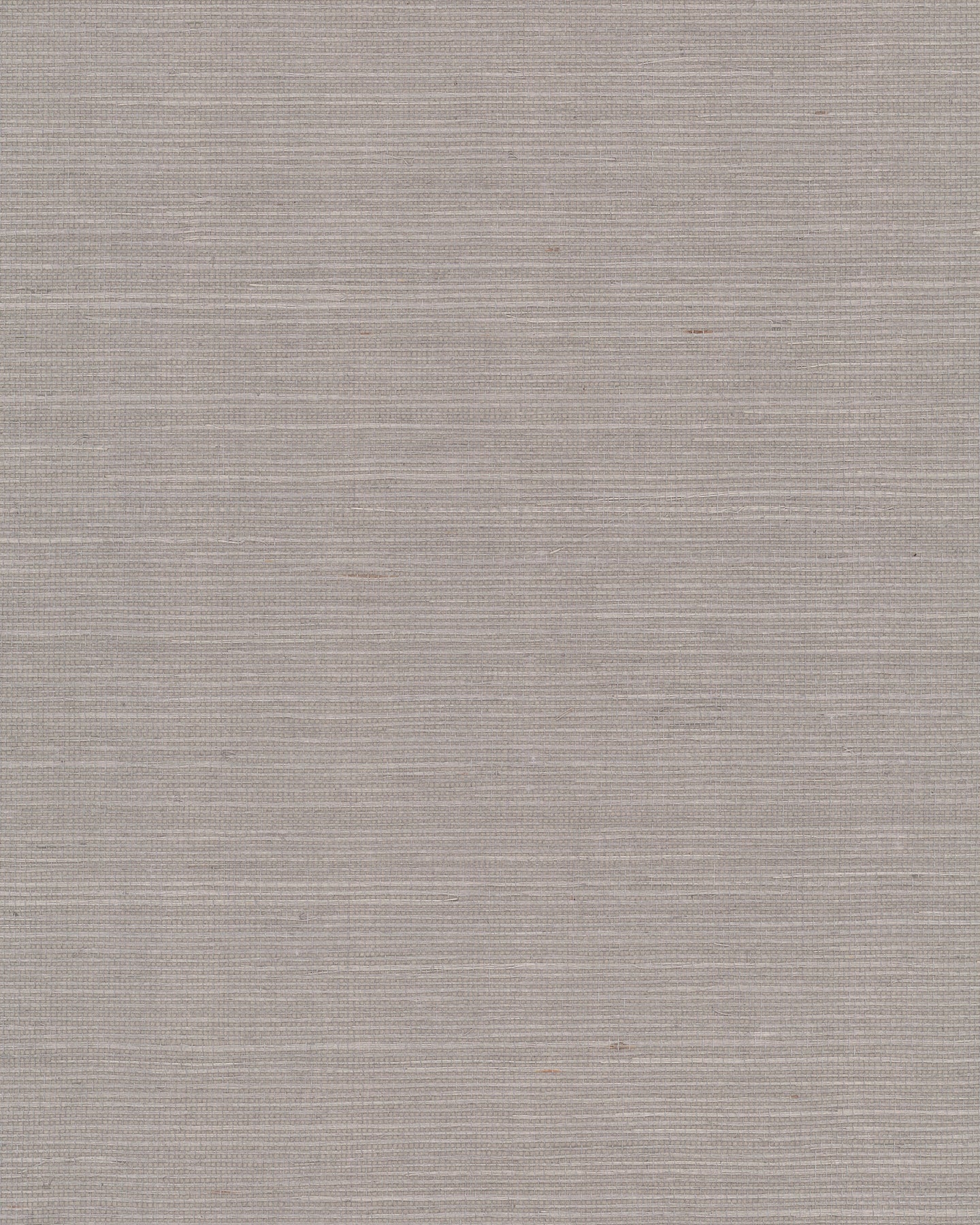 Maguey Sisal - Greys