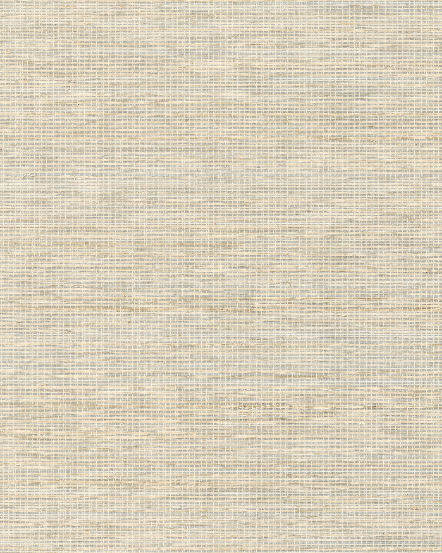 Maguey Sisal - Greys