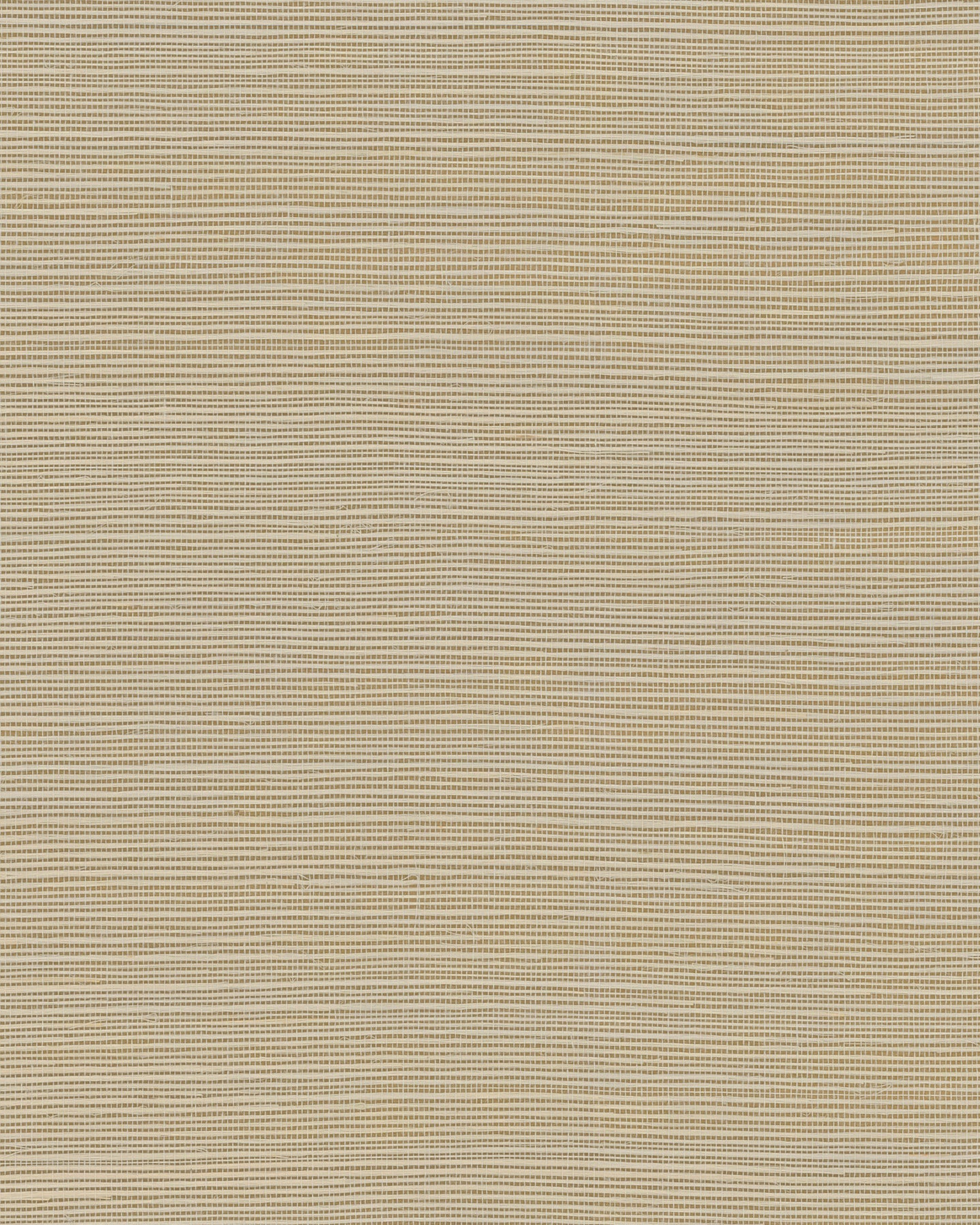Maguey Sisal - Whites