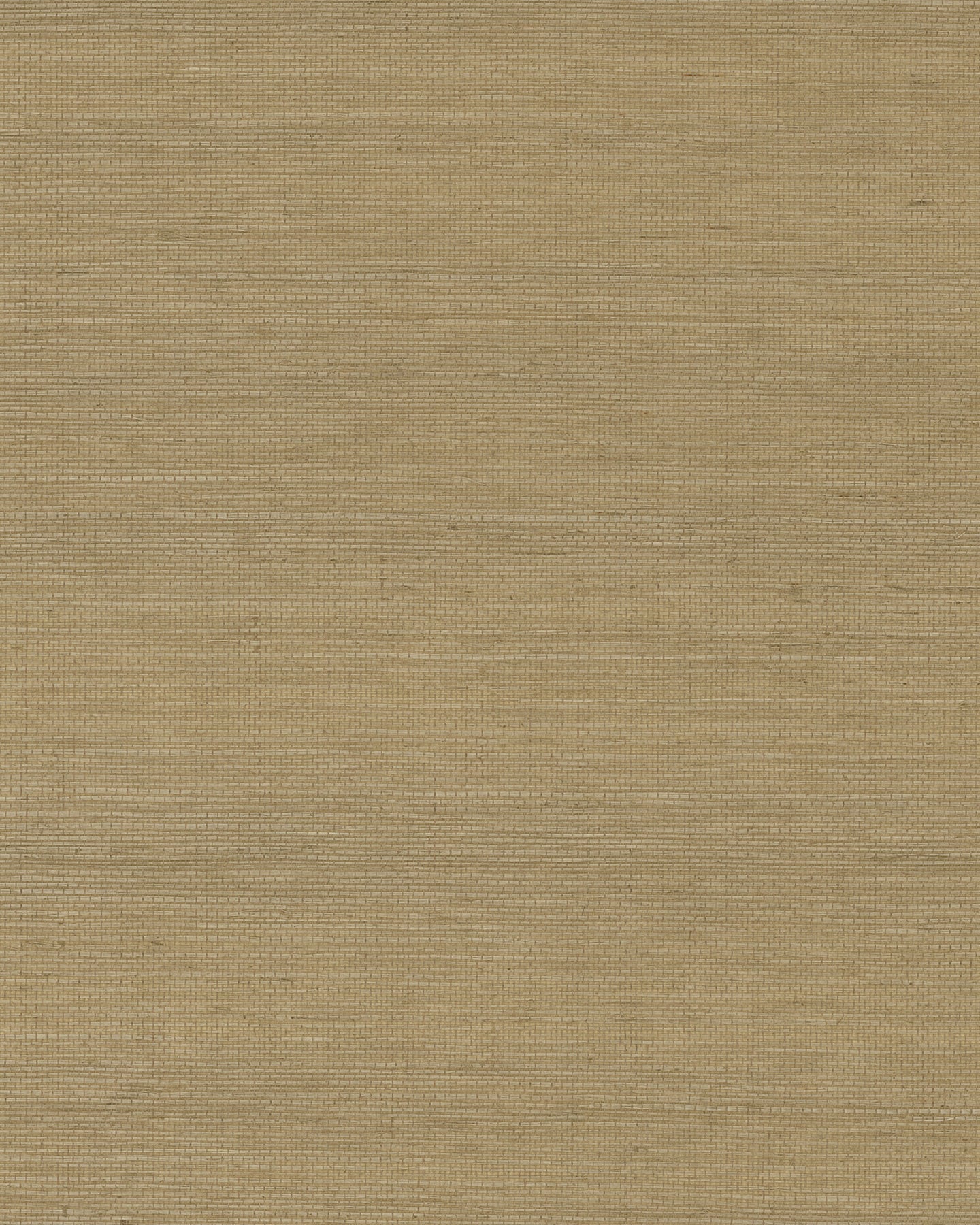 Maguey Sisal - Browns