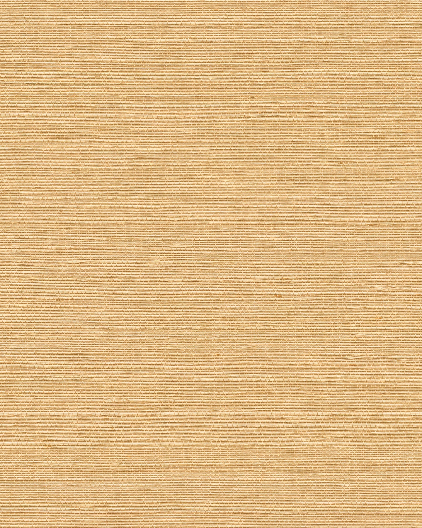 Maguey Sisal - Browns