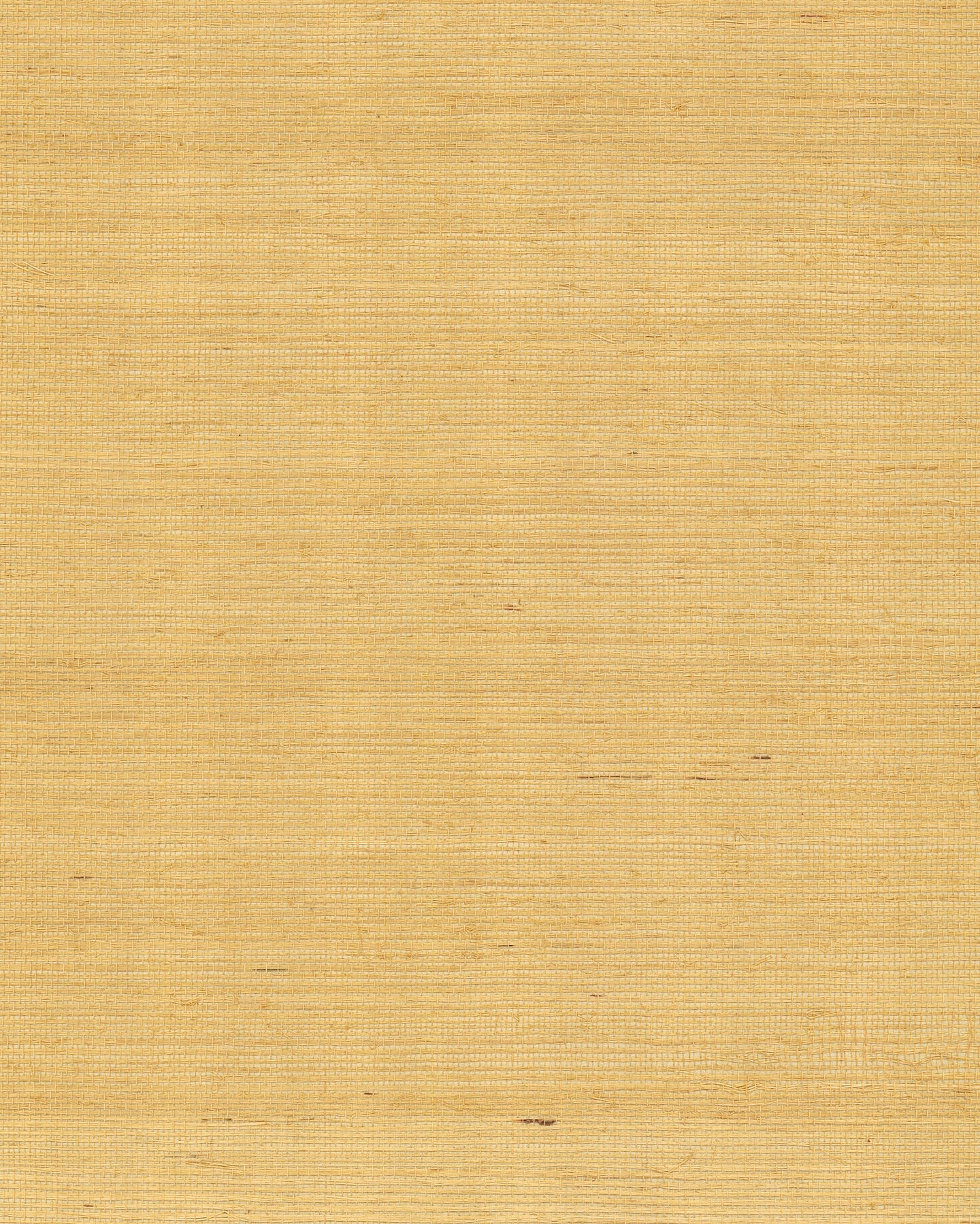 Maguey Sisal - Yellow