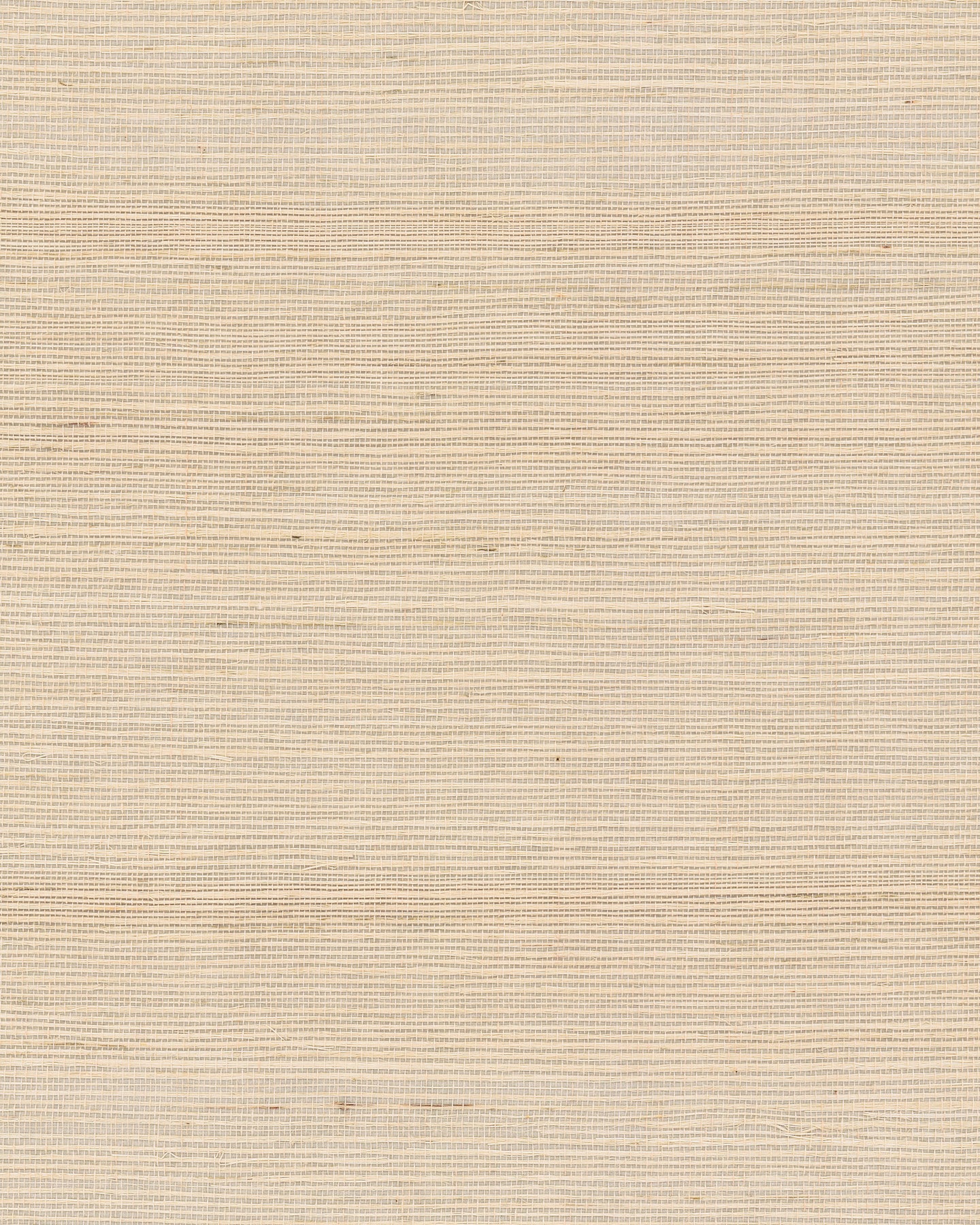 Maguey Sisal - Browns