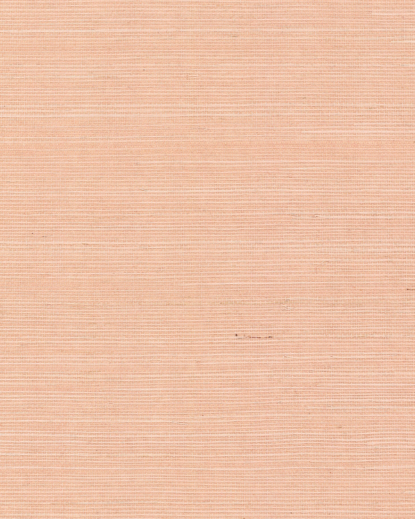 Maguey Sisal - Reds