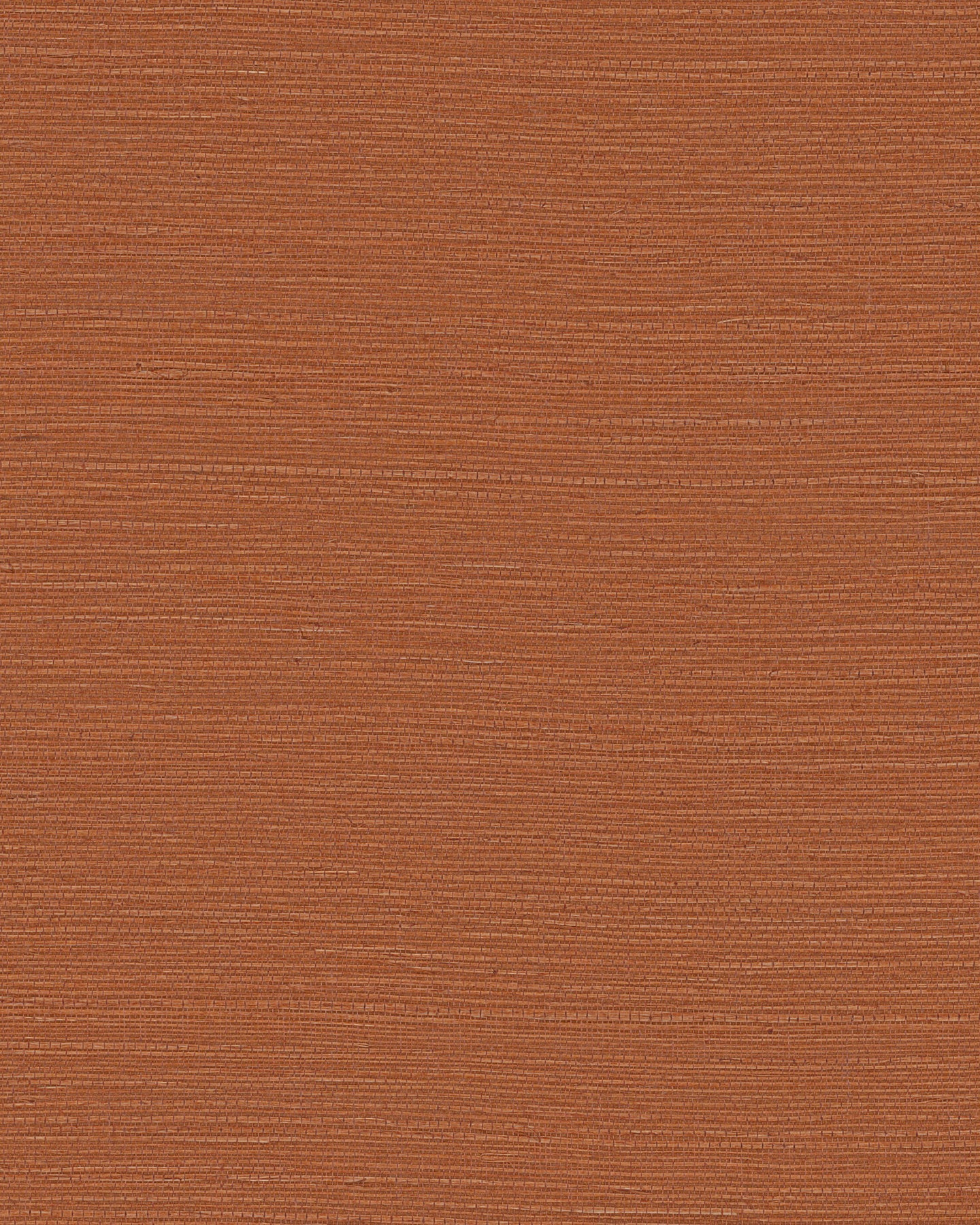 Maguey Sisal - Oranges