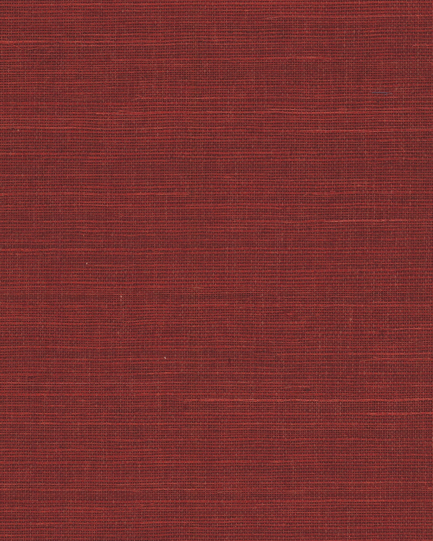 Maguey Sisal - Reds