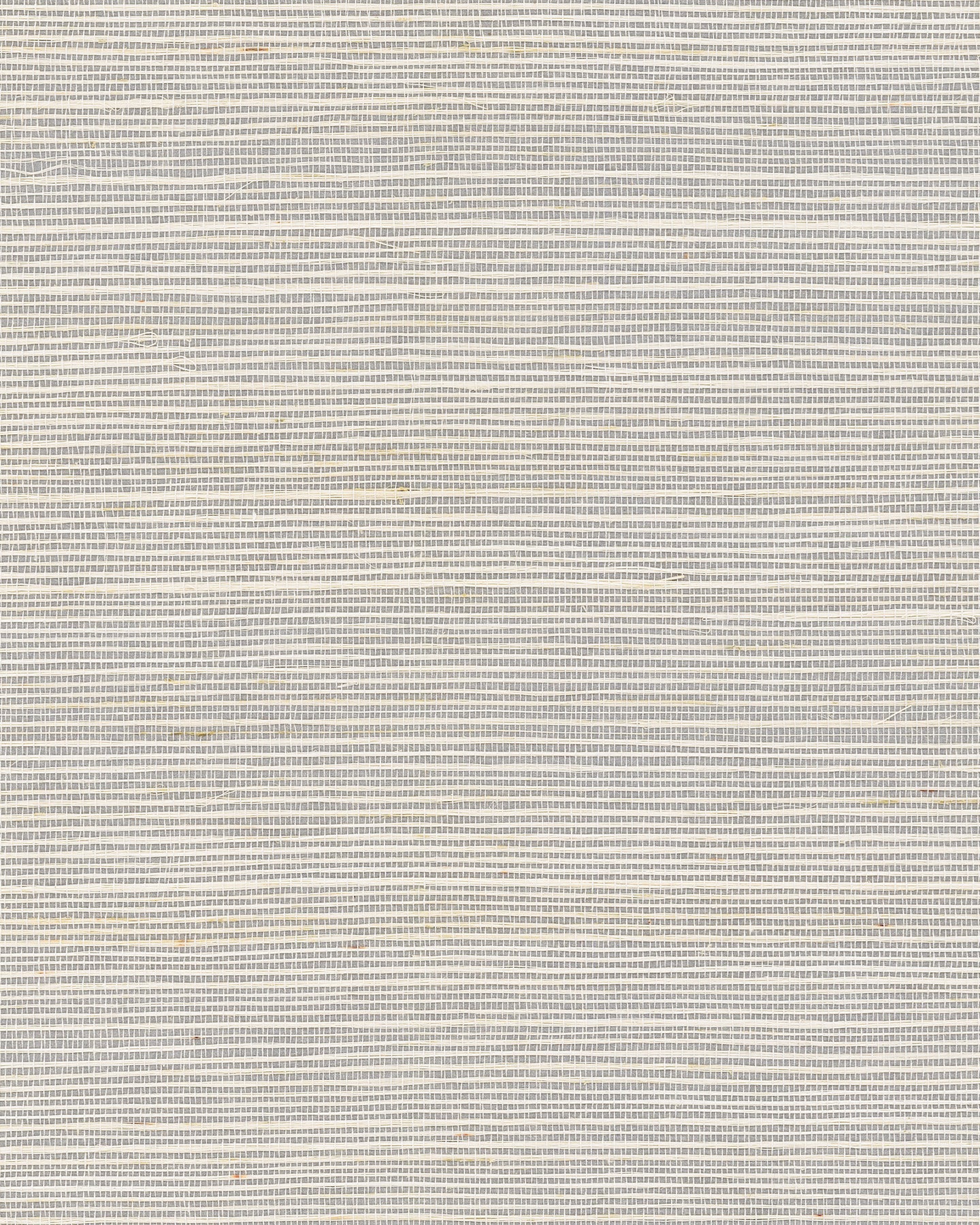 Maguey Sisal - Greys
