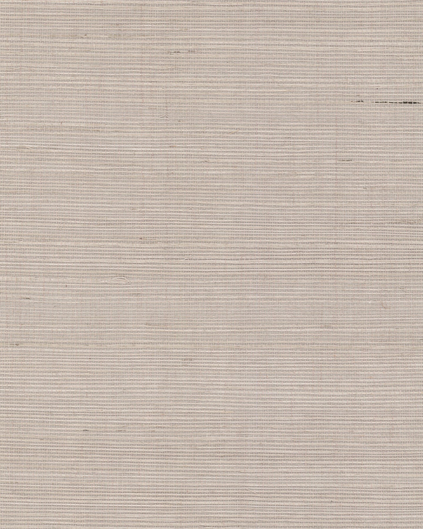Maguey Sisal - Greys