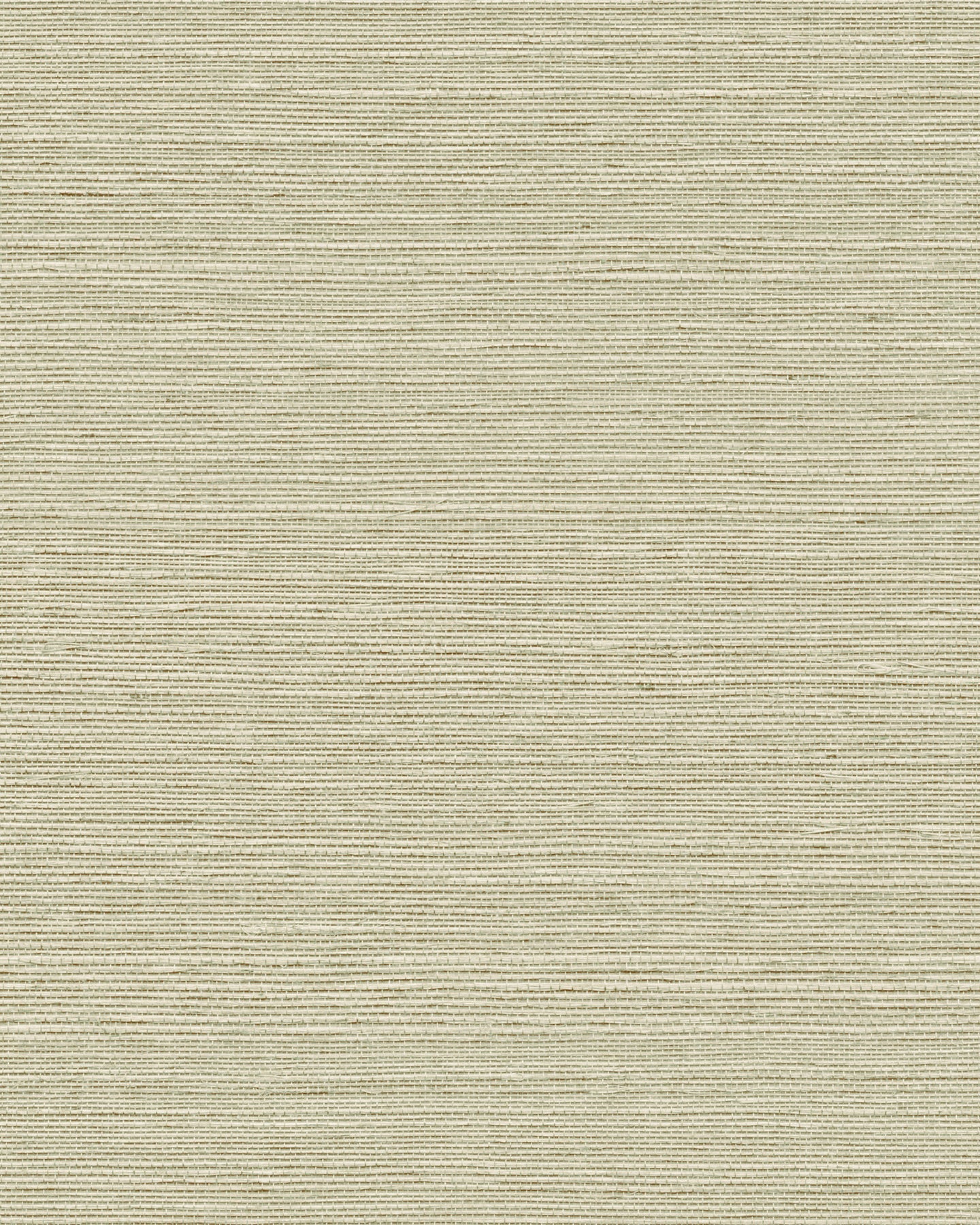 Maguey Sisal - Greens