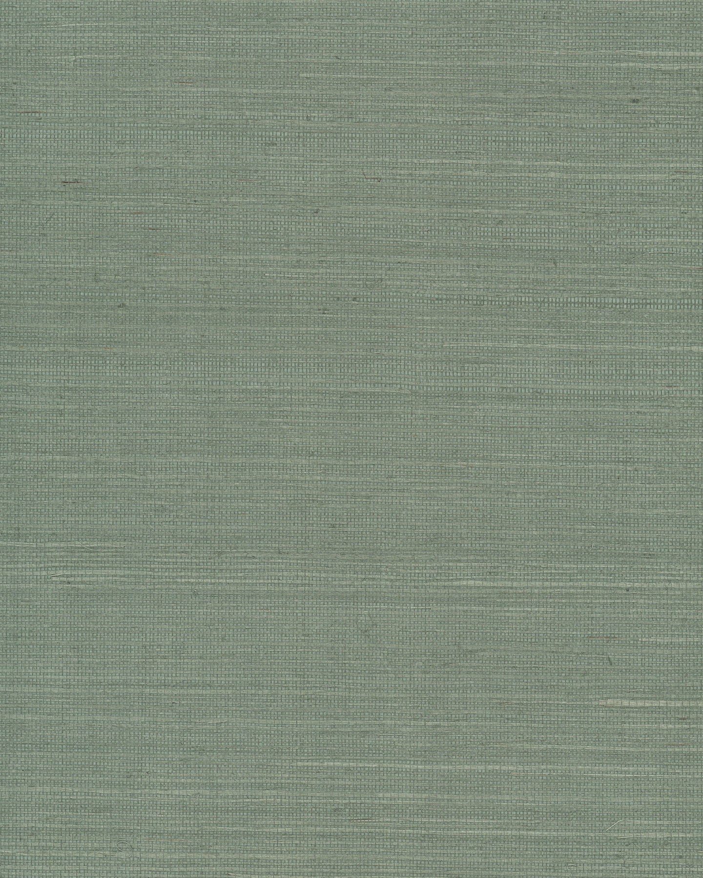 Maguey Sisal - Greens