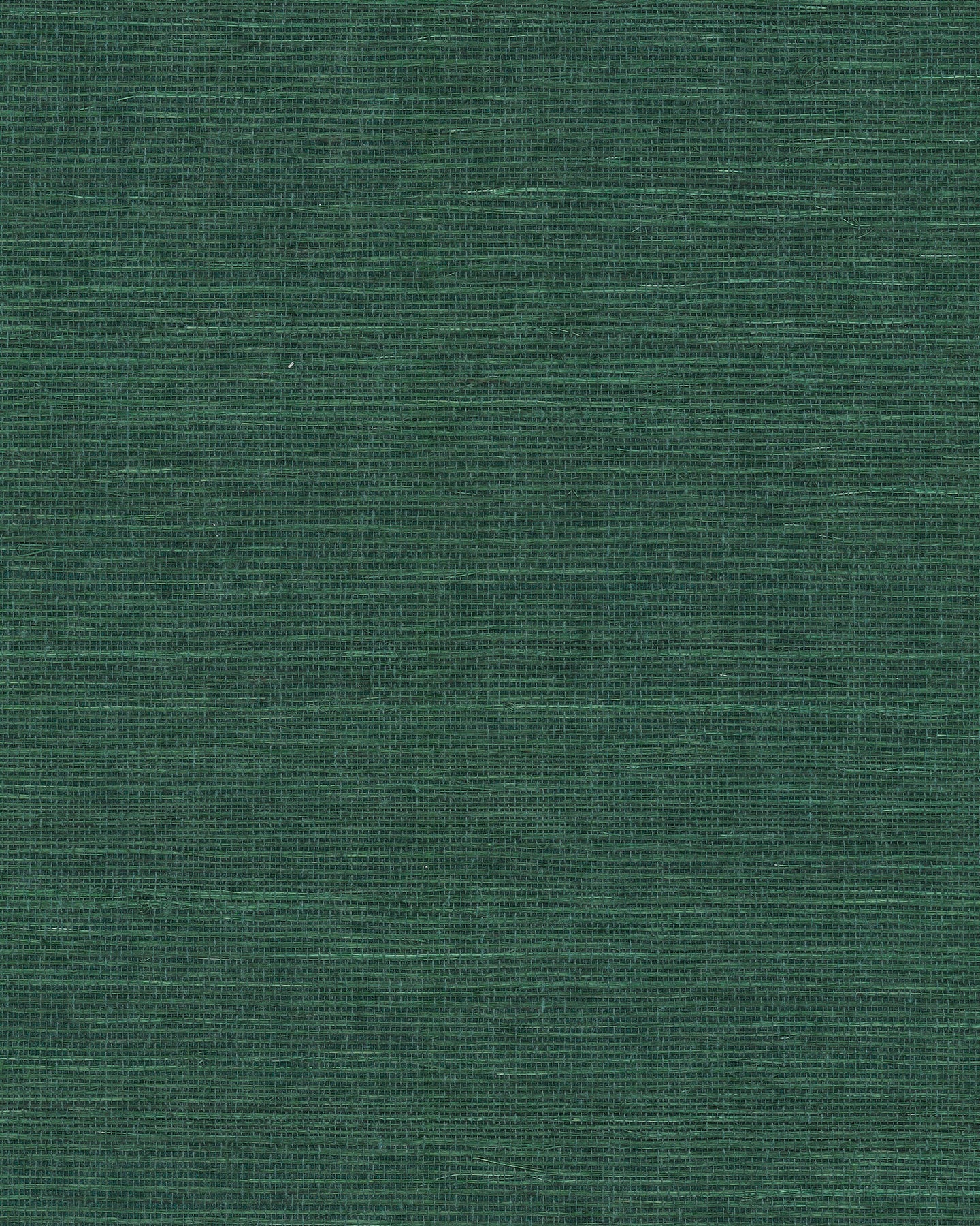 Maguey Sisal - Greens
