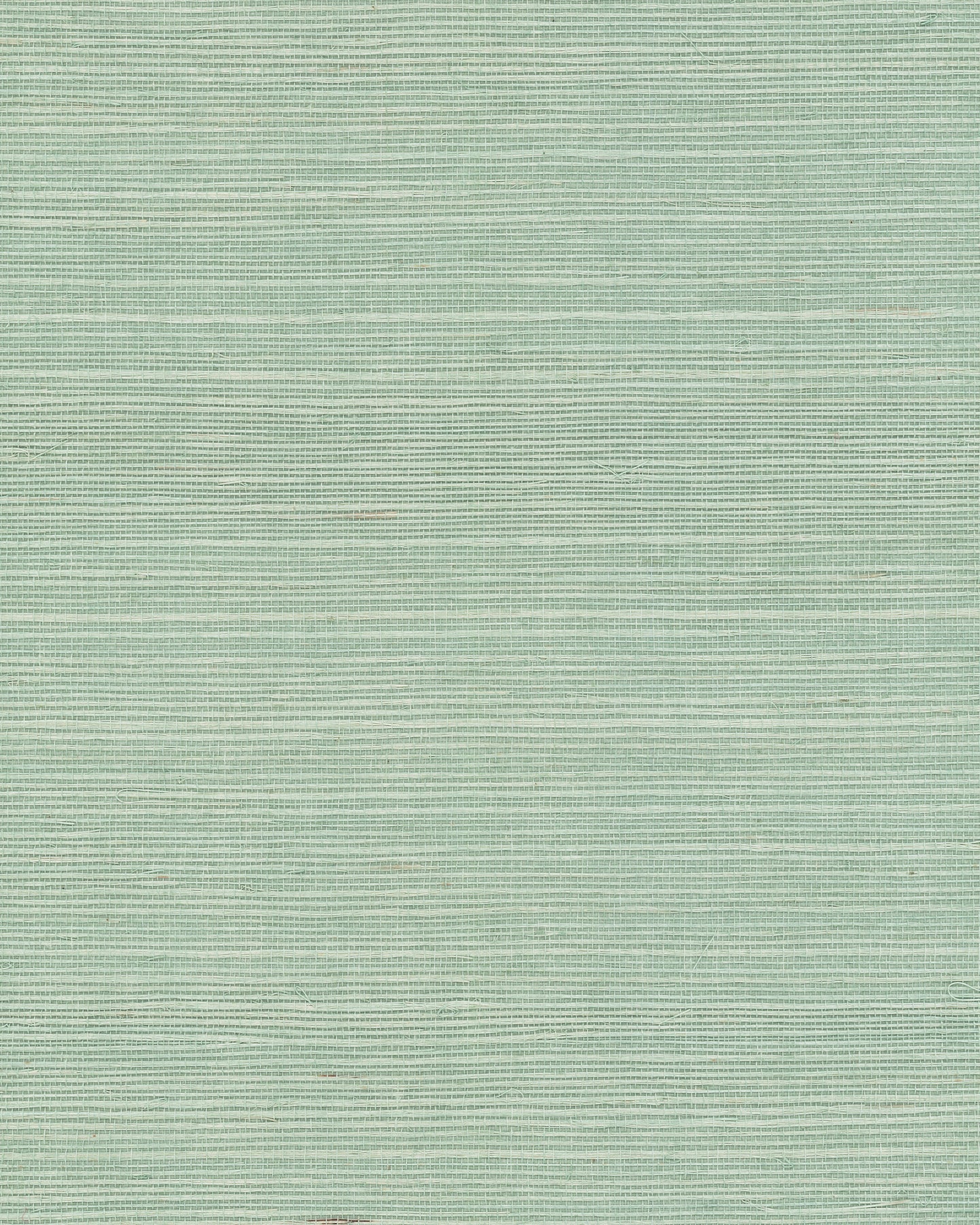 Maguey Sisal - Greens