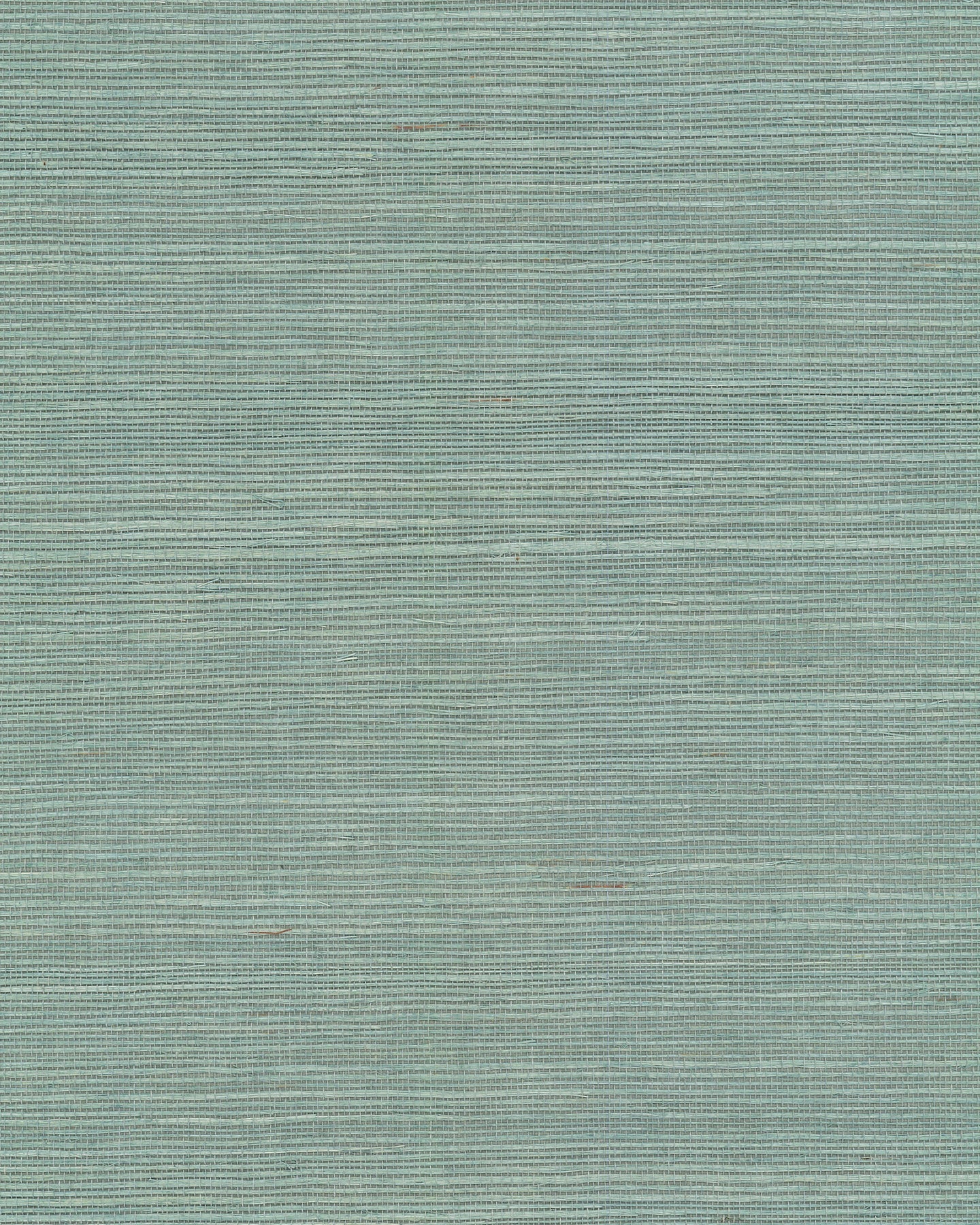 Maguey Sisal - Greens