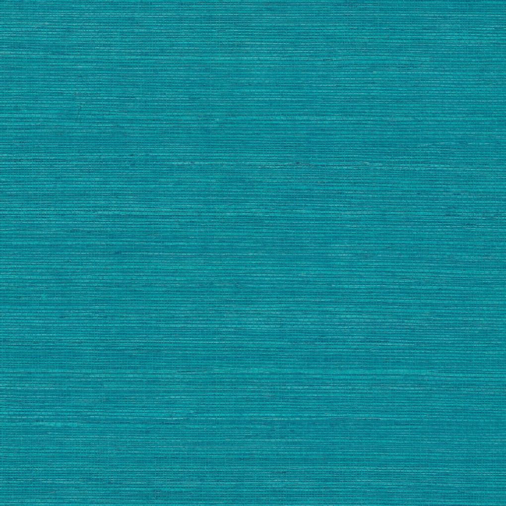 Maguey Sisal - Blues