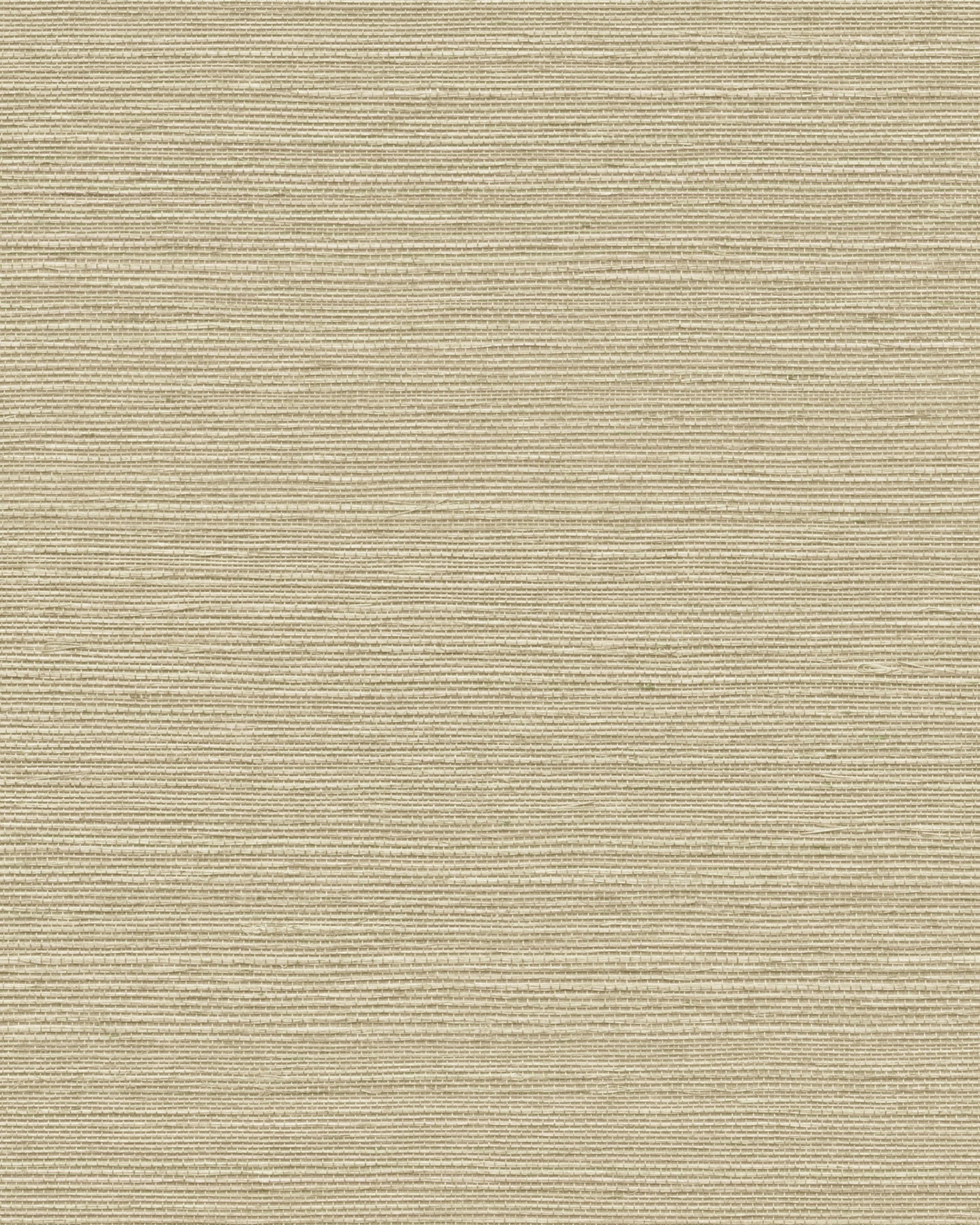Maguey Sisal - Browns