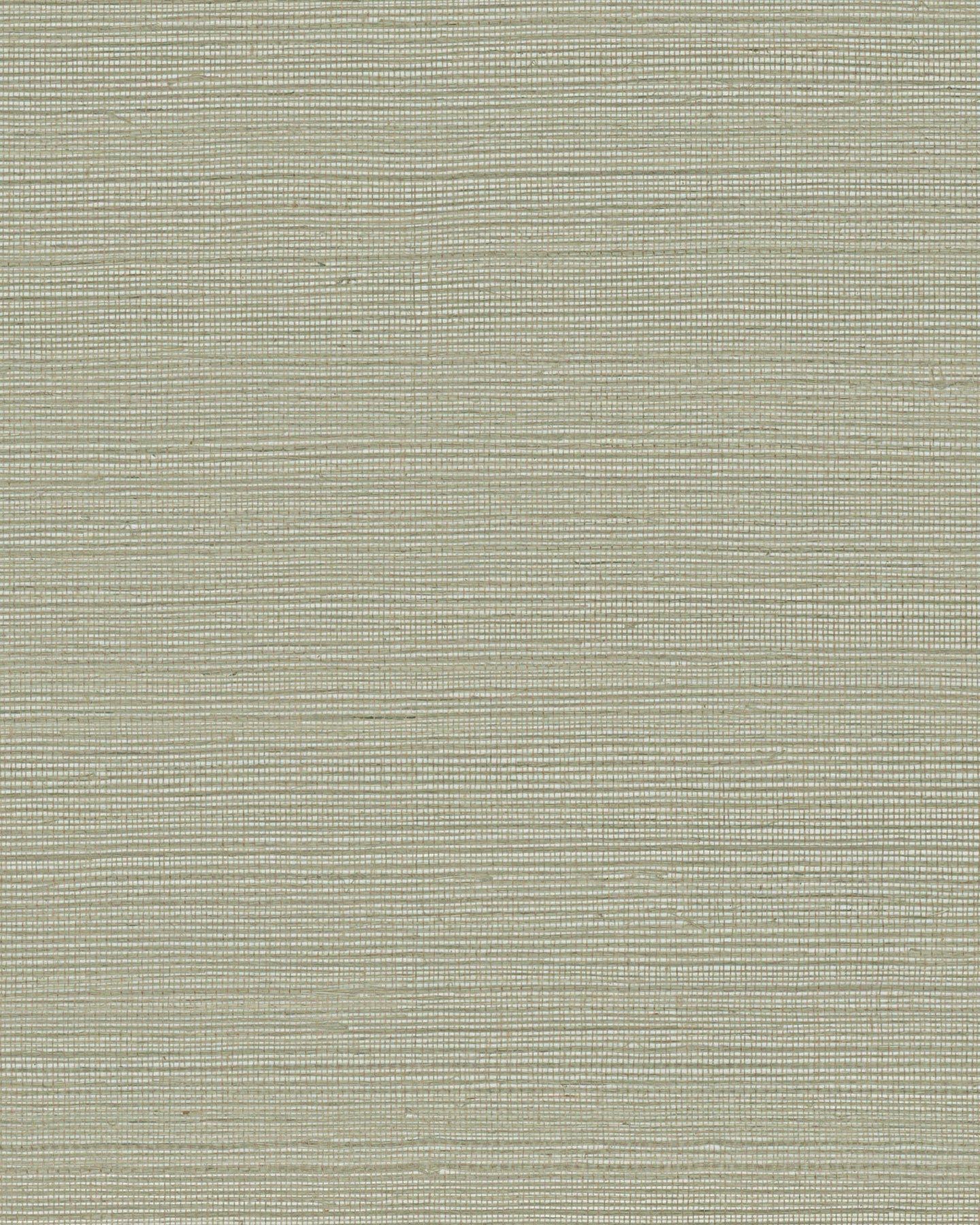 Maguey Sisal - Greys