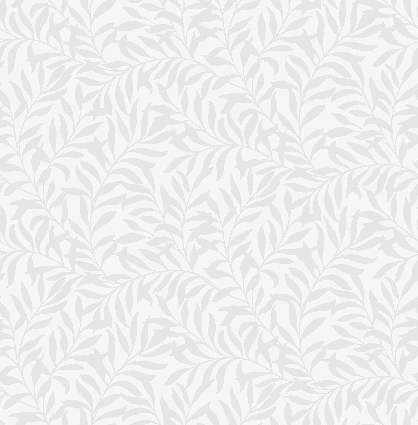 Salix Leaf