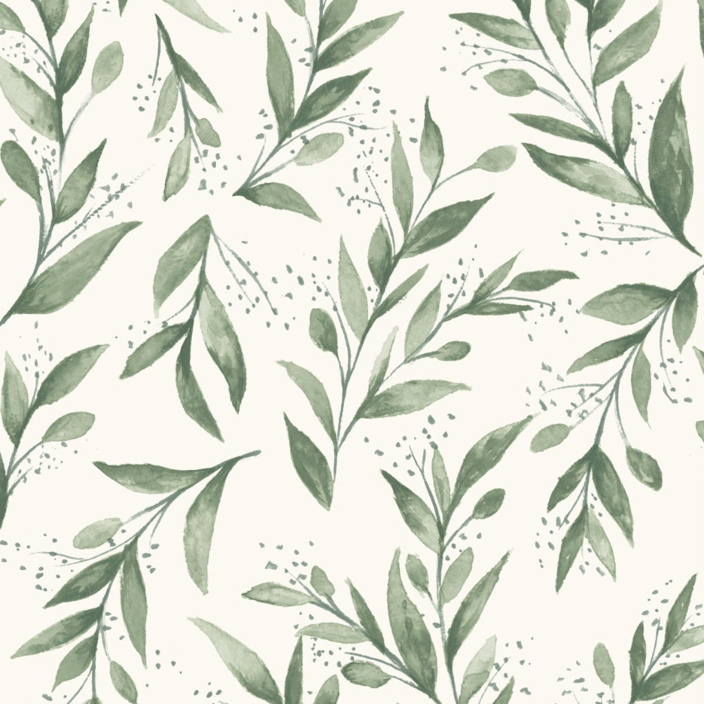 Olive Branch