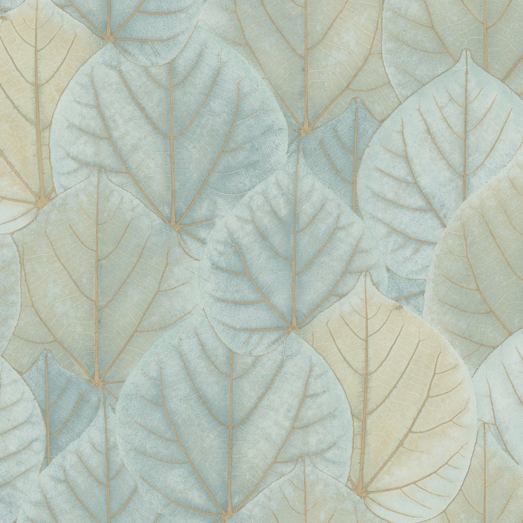 Leaf Concerto