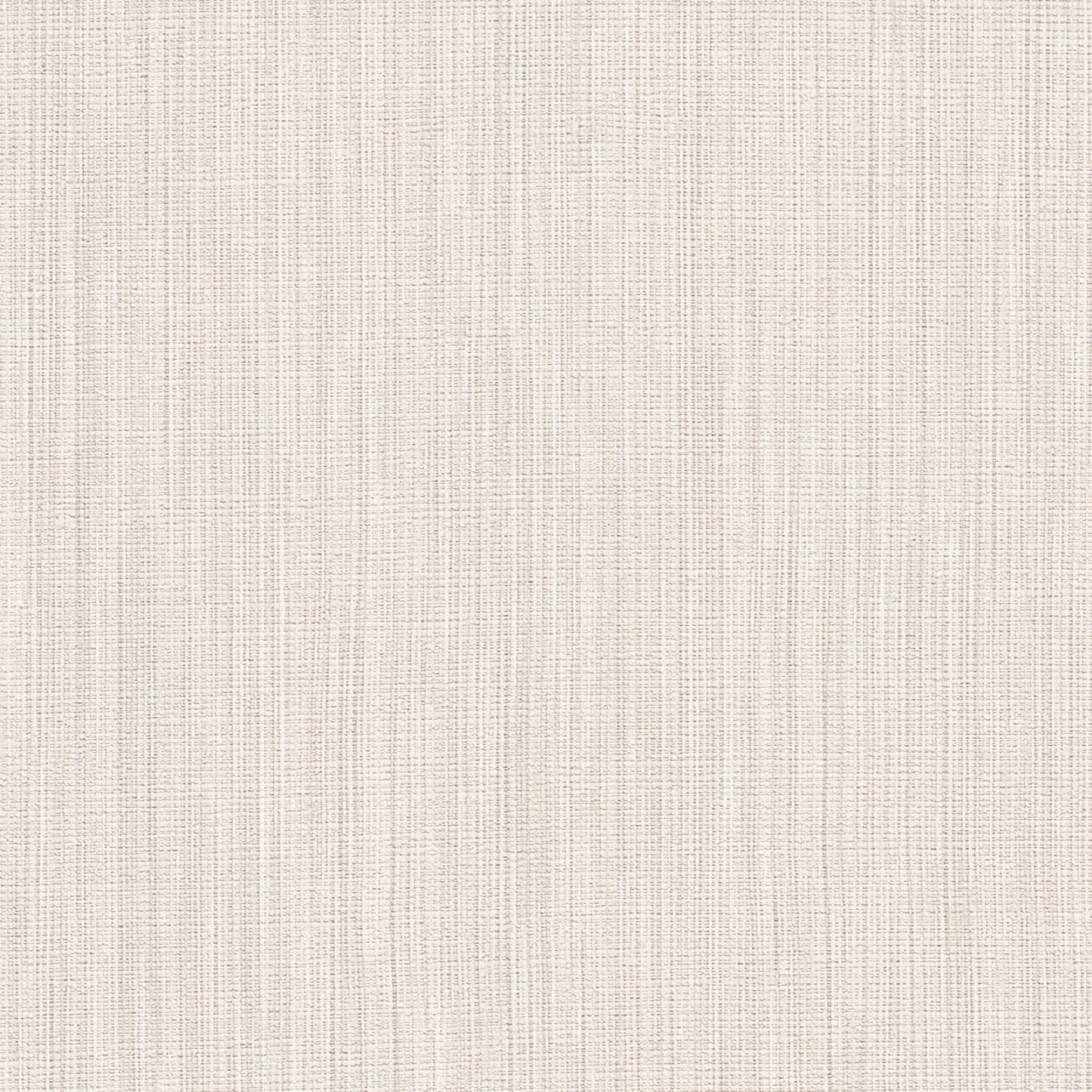 Paloma Texture