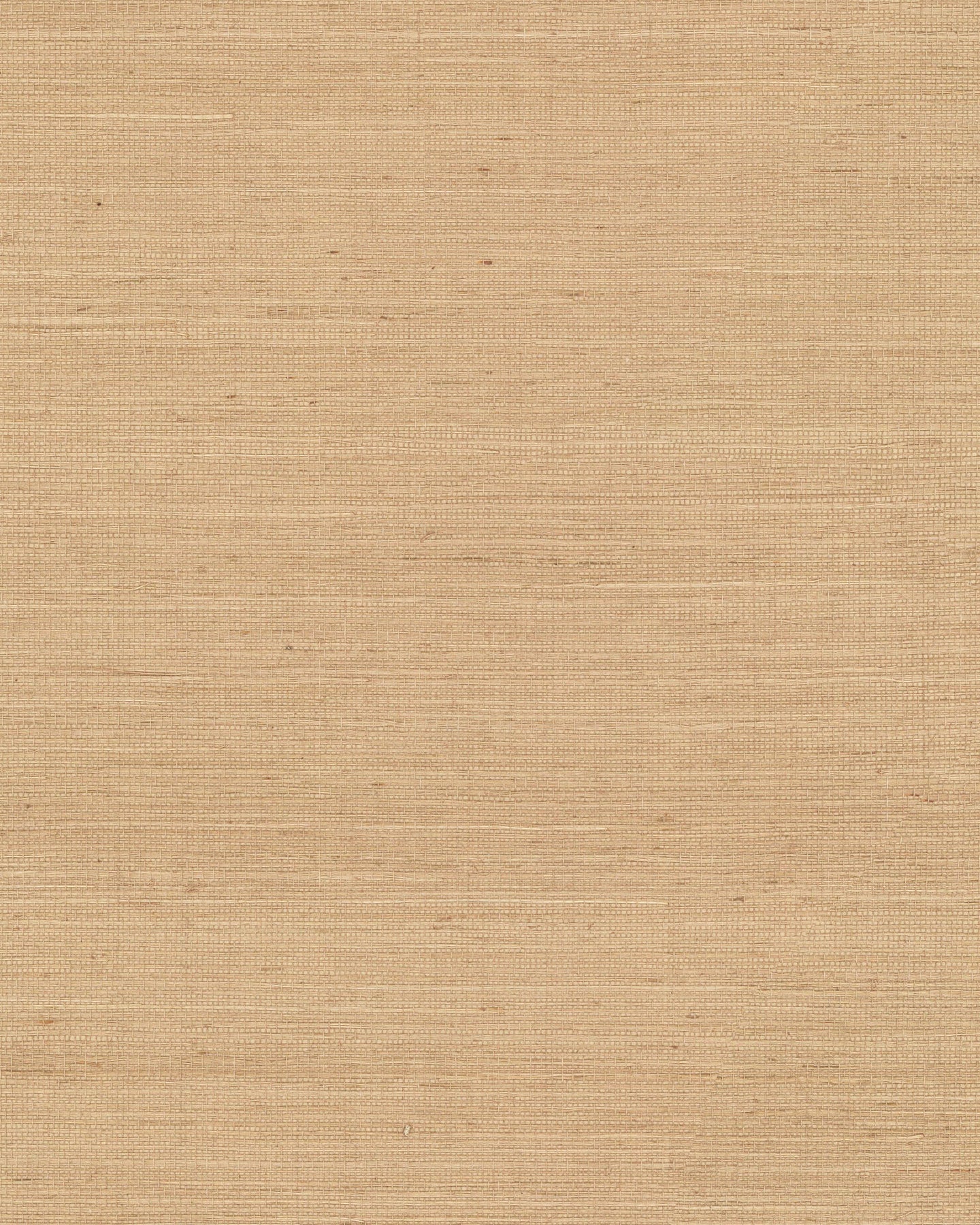 Maguey Sisal - Greys