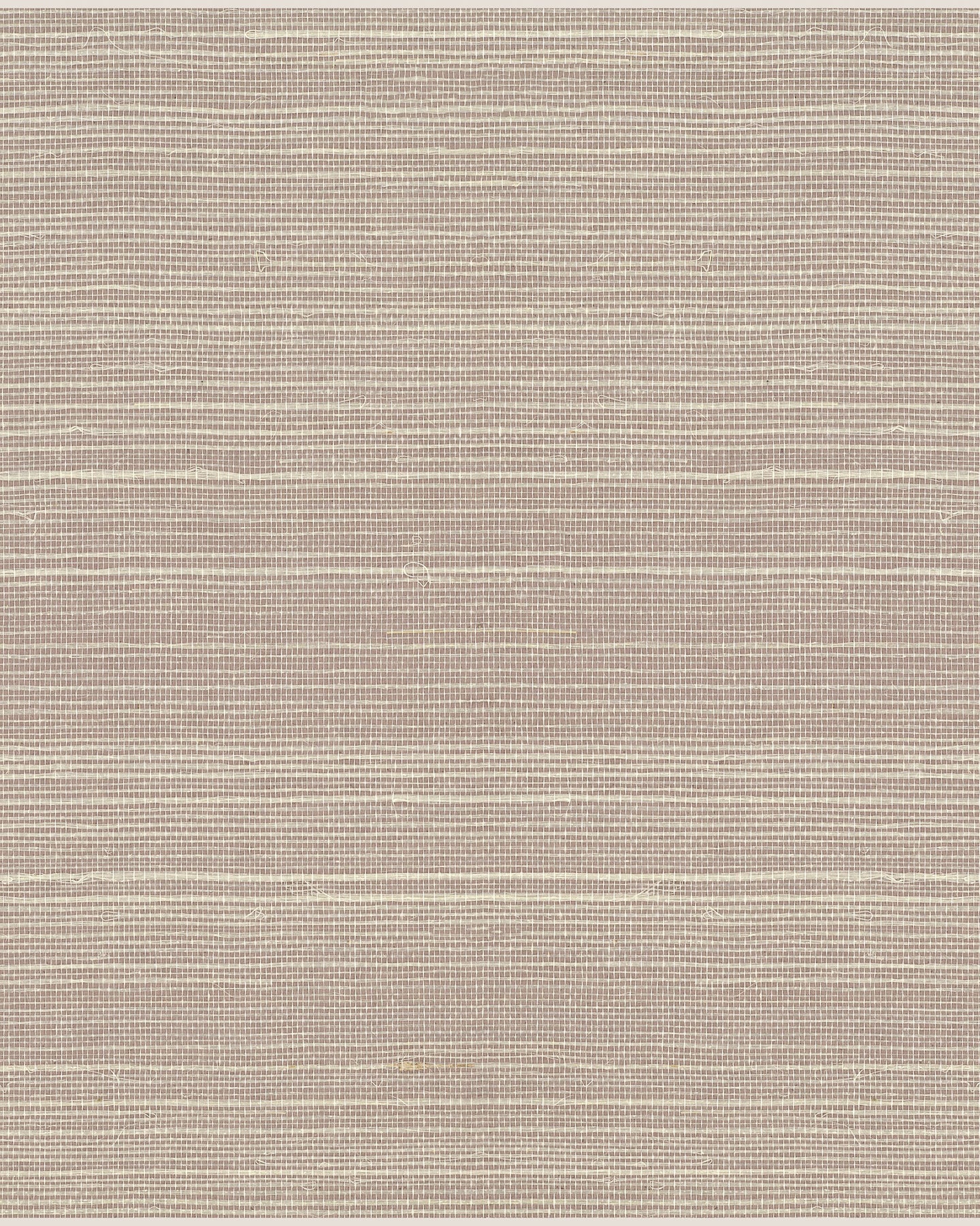Maguey Sisal - Greys