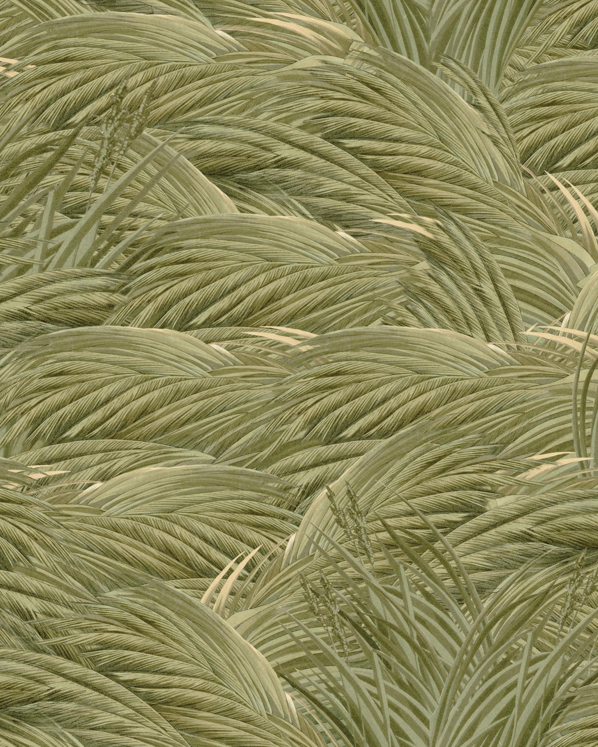 Triflora Spring