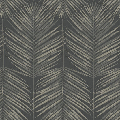 Paradise Palm
