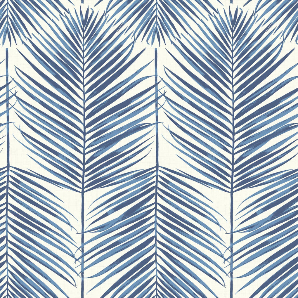 Paradise Palm