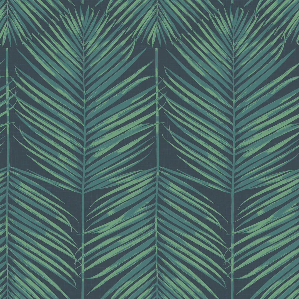Paradise Palm