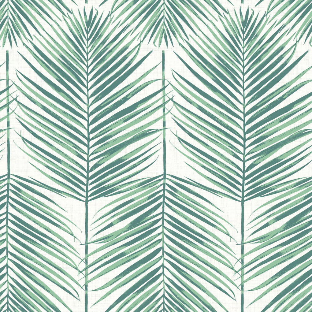 Paradise Palm