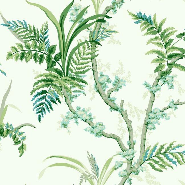 Enchanted Fern