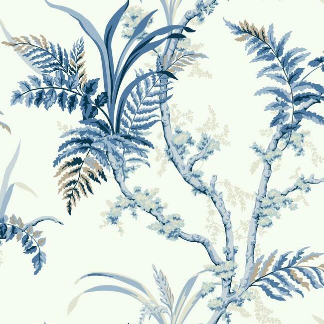 Enchanted Fern