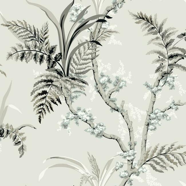 Enchanted Fern