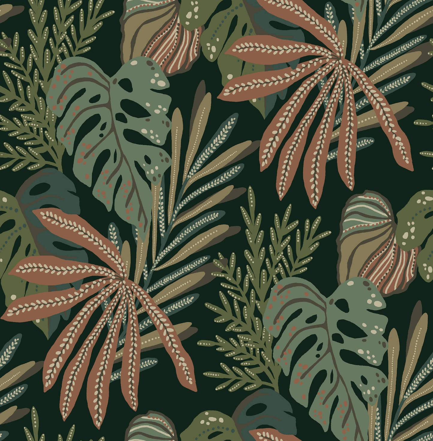 Alocasia