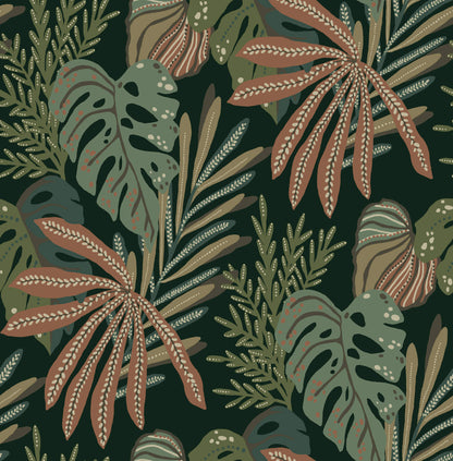 Alocasia