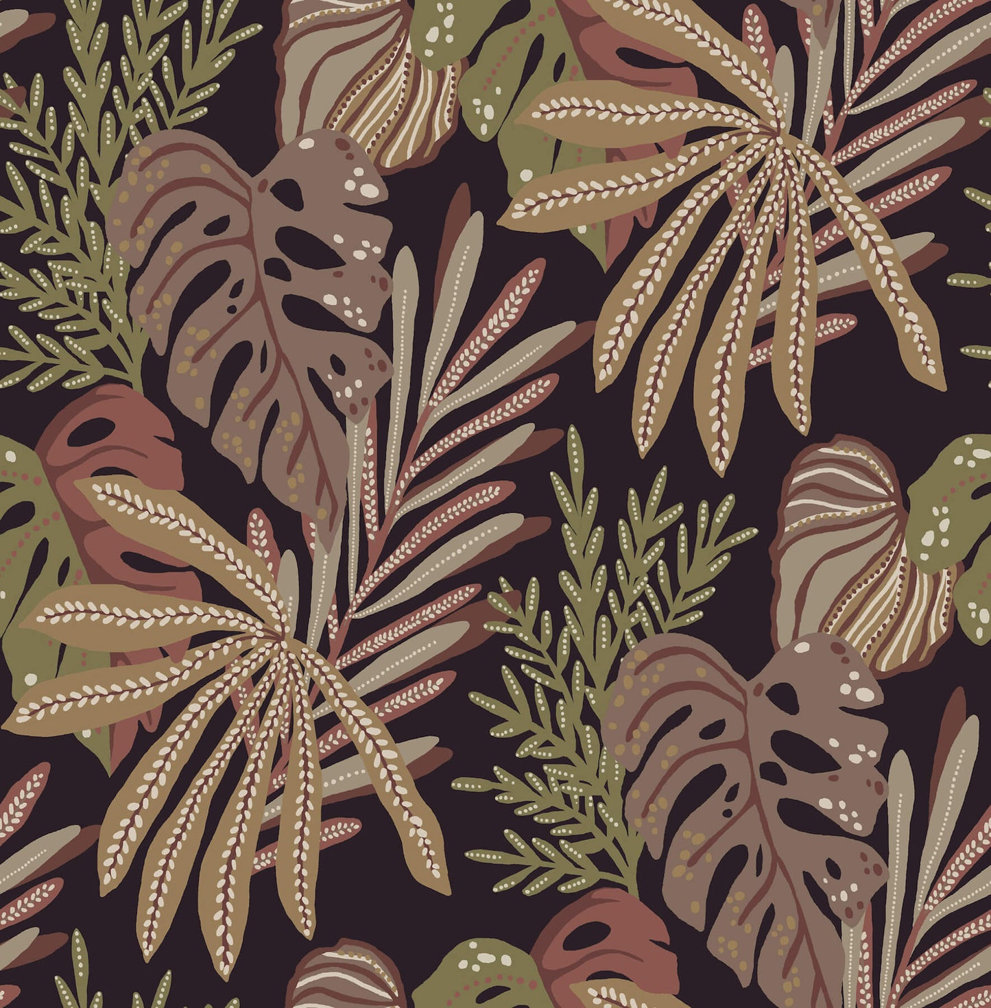 Alocasia