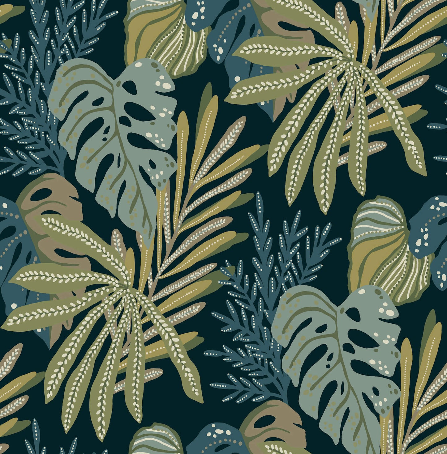 Alocasia