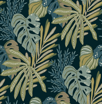 Alocasia