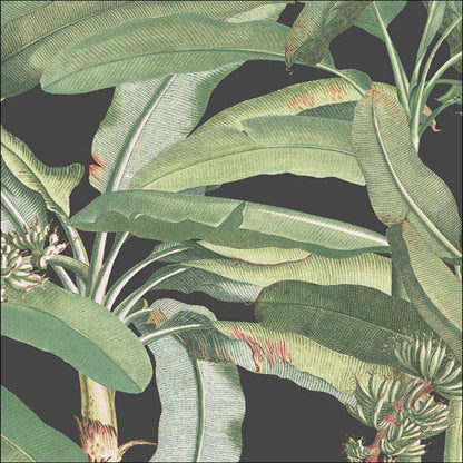 Polynesian Leaves