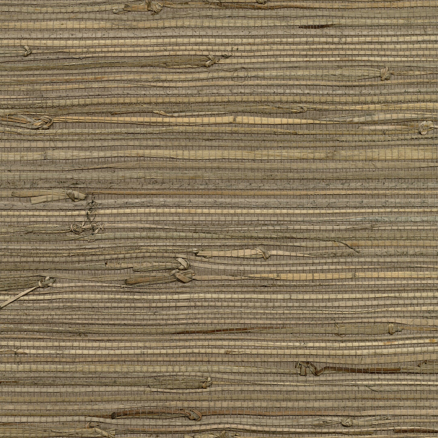 Anhui Grasscloth