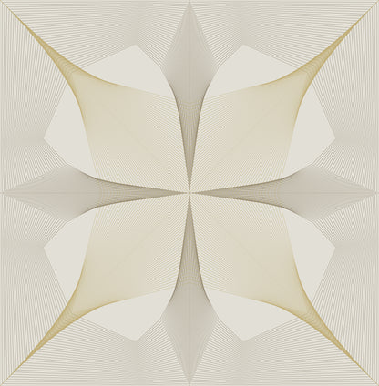 Radius Geometric